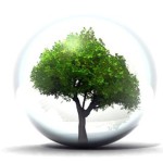 environnement colloque